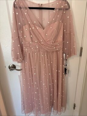 Adrianna Papell Blush Mauve Pink Tulle Midi Dress with Embroidered Dots